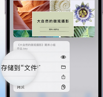 淮北apple维修中心分享iPhone文件应用中存储和找到下载文件