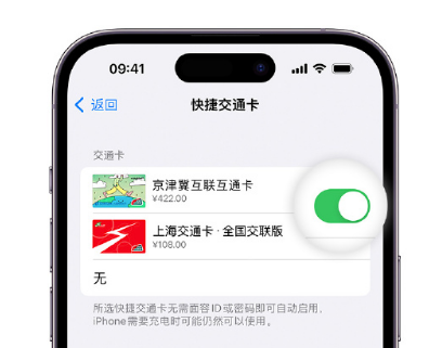 淮北apple维修点分享iPhone上更换Apple Pay快捷交通卡手绘卡面 