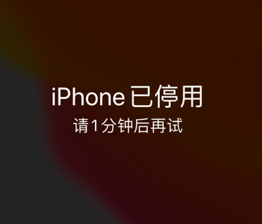 淮北苹果手机维修分享:iPhone 显示“不可用”或“已停用”怎么办？还能保留数据吗？ 