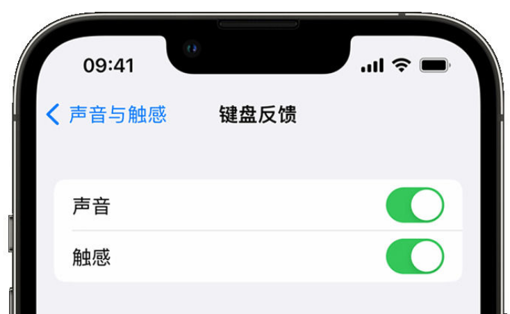 淮北苹果手机维修分享iPhone 14触感键盘使用方法 