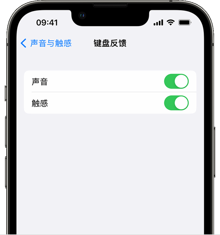 淮北苹果14维修店分享如何在 iPhone 14 机型中使用触感键盘 