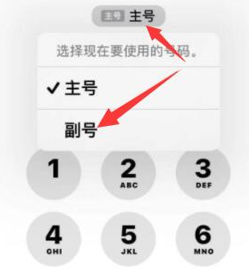 淮北苹果14维修店分享iPhone 14 Pro Max使用副卡打电话的方法 