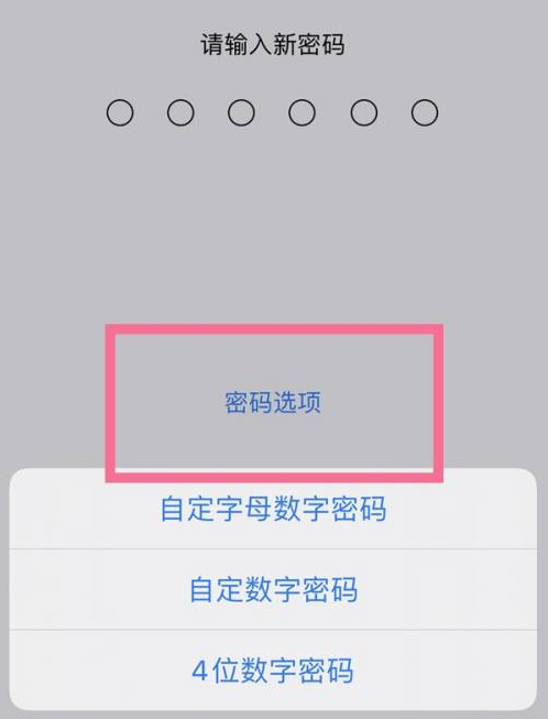 淮北苹果14维修分享iPhone 14plus设置密码的方法 