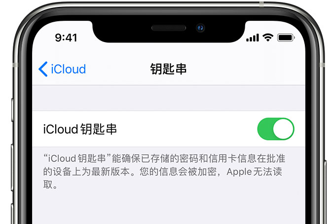 淮北苹果手机维修分享在 iPhone 上开启 iCloud 钥匙串之后会储存哪些信息 